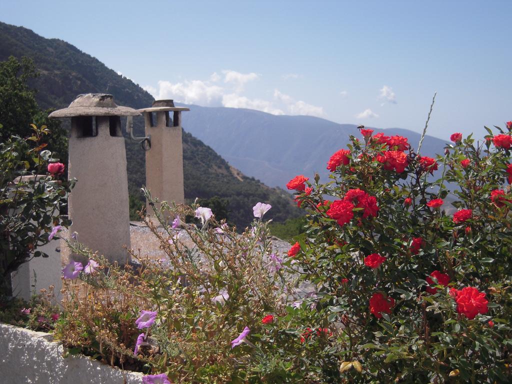 La Ermita Del Poqueira Lägenhet Bubión Exteriör bild